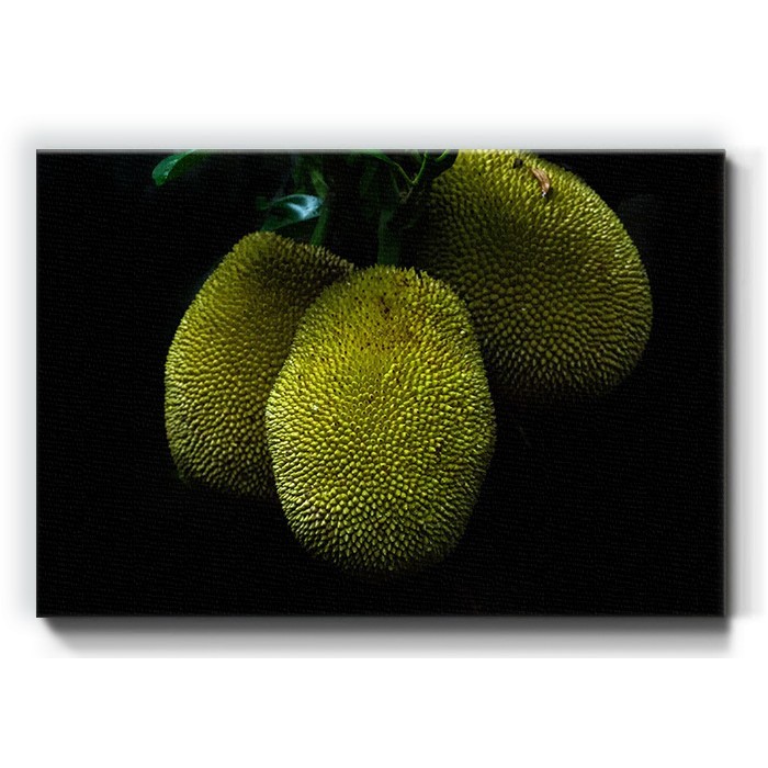 Πίνακας σε καμβά «Εξωτικό φρούτο»